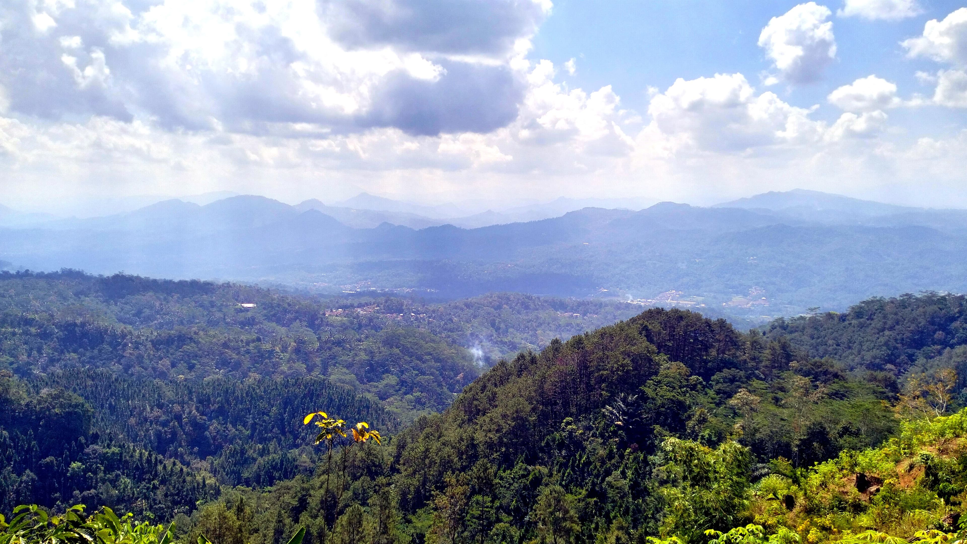 Area perkebunan desa